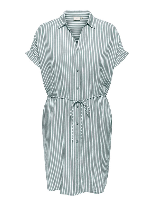CARPENNA - Plus Size Klänning fra Only Carmakoma
