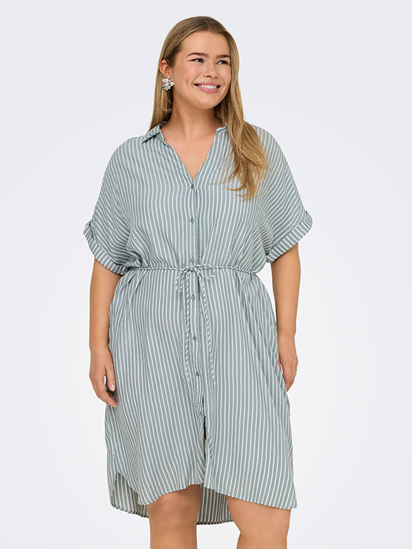 CARPENNA - Plus Size Klänning fra Only Carmakoma