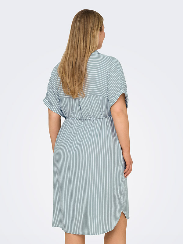 CARPENNA - Plus Size Klänning fra Only Carmakoma