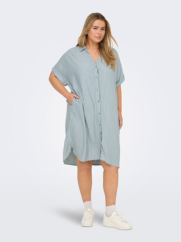 CARPENNA - Plus Size Klänning fra Only Carmakoma
