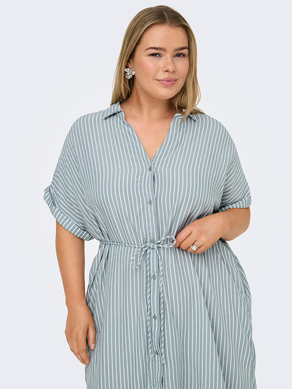 CARPENNA - Plus Size Klänning fra Only Carmakoma
