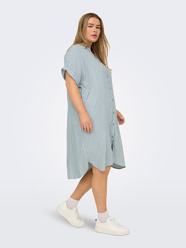 CARPENNA - Plus Size Klänning fra Only Carmakoma