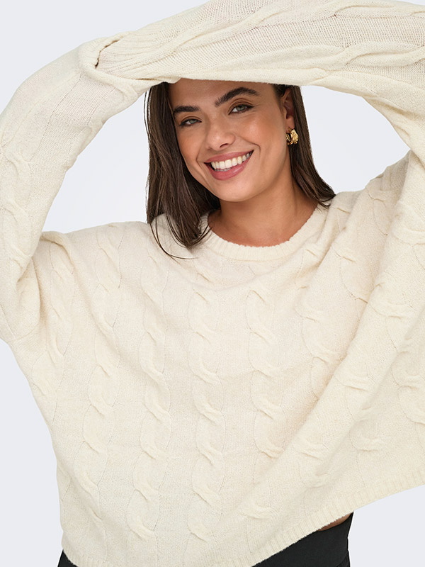 CARJEANETT - Plus Size Tröja fra Only Carmakoma