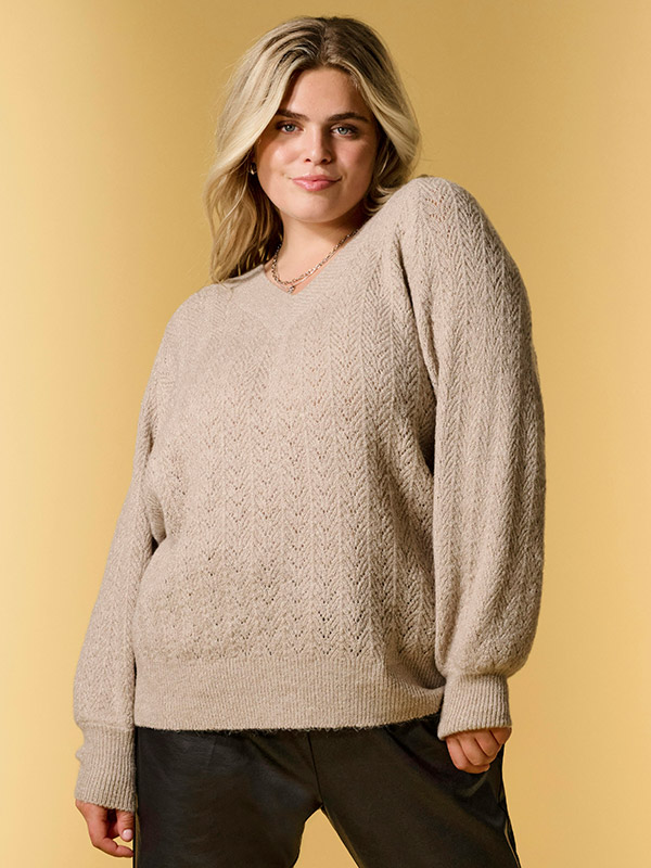 CARLUCILLA - Plus Size Tröja fra Only Carmakoma
