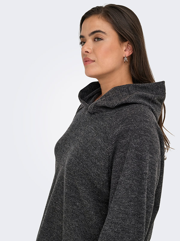 CARBIZZY - Plus Size Tröja fra Only Carmakoma