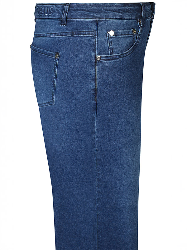 ZH-RUPI - Plus Size Jeans fra Zhenzi