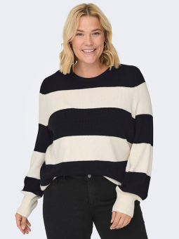 CARNEW - Plus Size Tröja från Only Carmakoma
