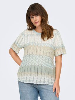 CARALVIRA - Plus Size T-shirt från Only Carmakoma