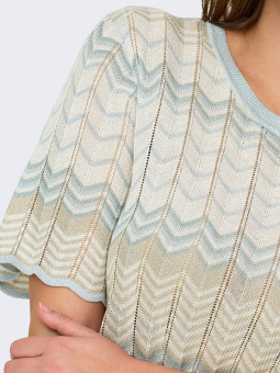 CARALVIRA - Plus Size T-shirt från Only Carmakoma