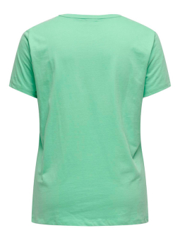CARAMMY - Plus Size T-shirt från Only Carmakoma