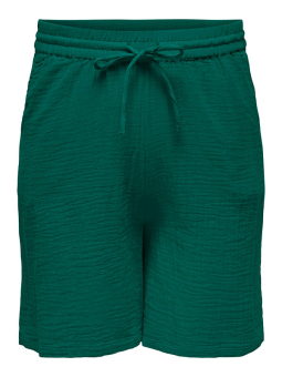 CARTHYRA - Plus Size Shorts från Only Carmakoma