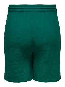 CARTHYRA - Plus Size Shorts från Only Carmakoma