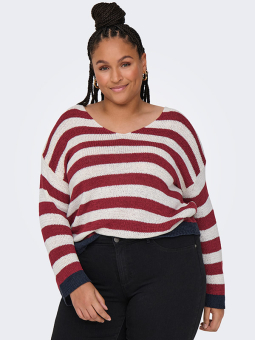 CARGENNA - Plus Size Tröja från Only Carmakoma