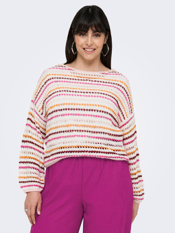 CARGENNA - Plus Size Tröja från Only Carmakoma