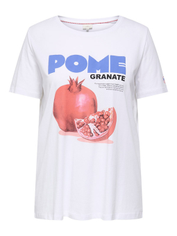CARJAX - Plus Size T-shirt från Only Carmakoma