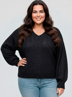 CARLUCILLA - Plus Size Tröja från Only Carmakoma