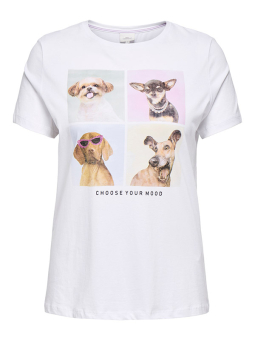CARWINCE - Plus Size T-shirt från Only Carmakoma