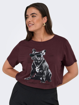 CARWINCE - Plus Size T-shirt från Only Carmakoma