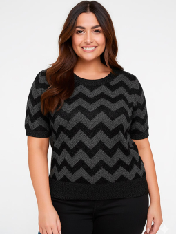 CARJILLO - Plus Size T-shirt från Only Carmakoma