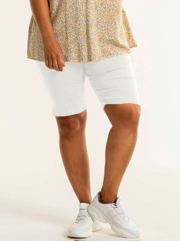 Plus Size Shorts från Studio