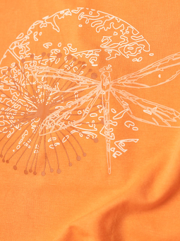 GITTE - Plus Size T-shirt från Gozzip