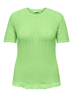 CARSAGA - Plus Size Blus från Only Carmakoma