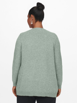 ESLY - Plus Size Kofta från Only Carmakoma
